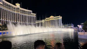 Roling Van De Wijdeven