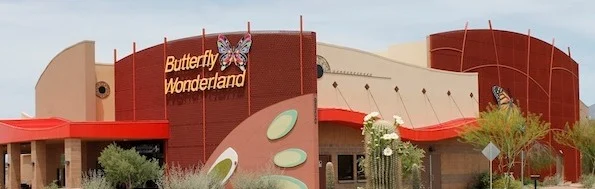 Butterfly Wonderland Scottsdale