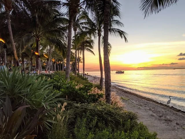 Nature Key West