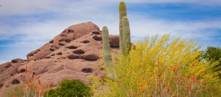 Papago Park