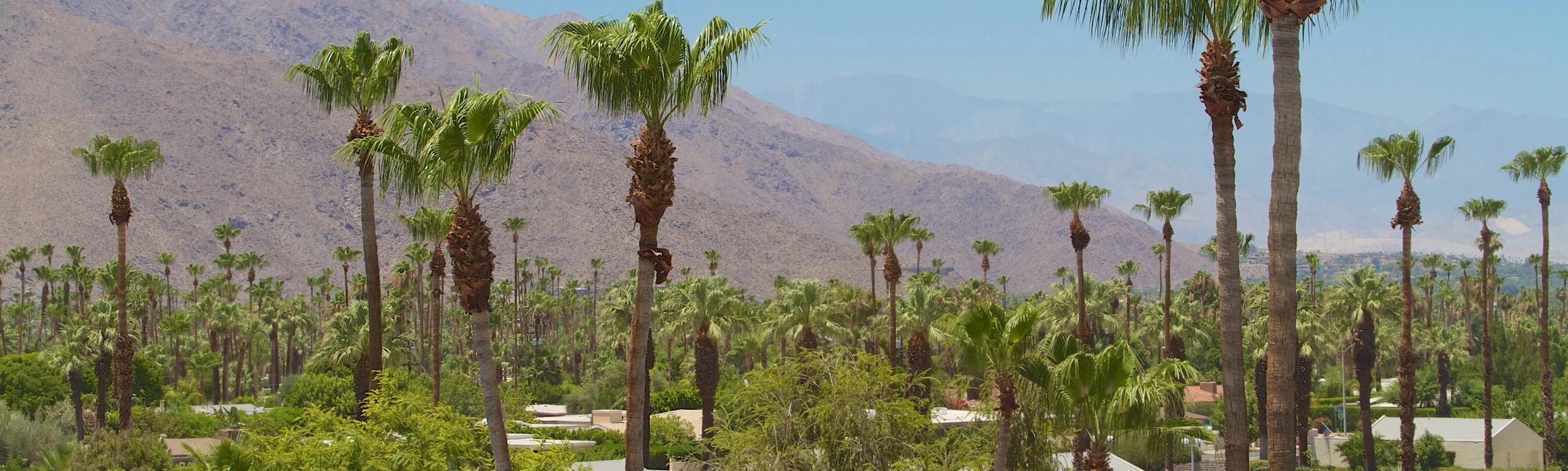 Palm Springs