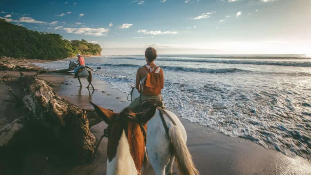 Beach Horseback Riding Sta