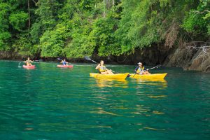Ocean Kayak