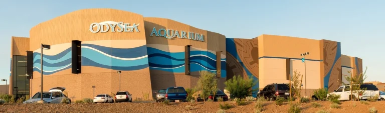 OdySea Aquarium Scottsdale