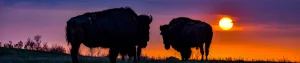 North Dakota
