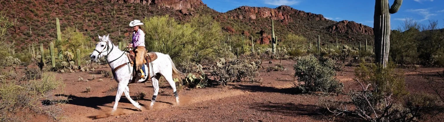 Tucson