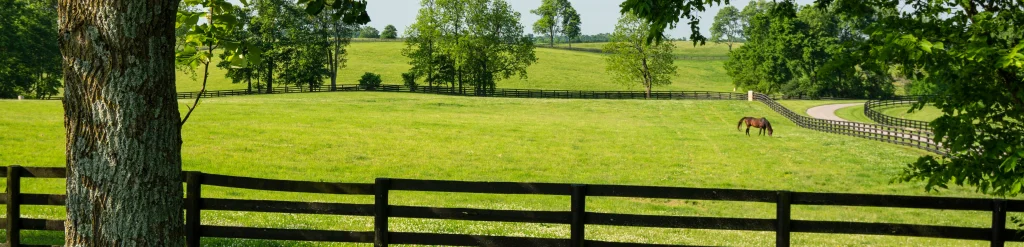 Kentucky