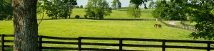 Kentucky