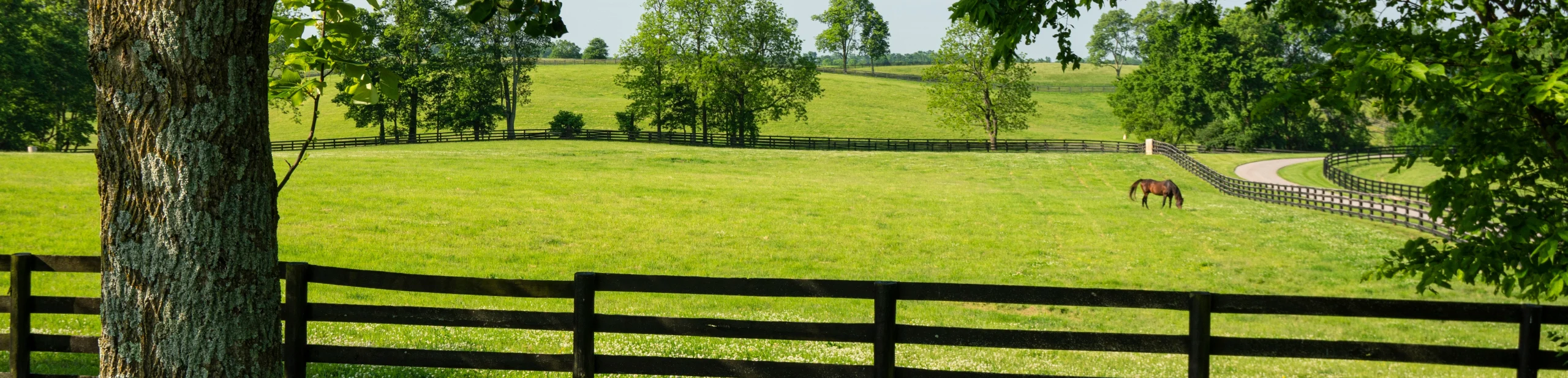 Kentucky
