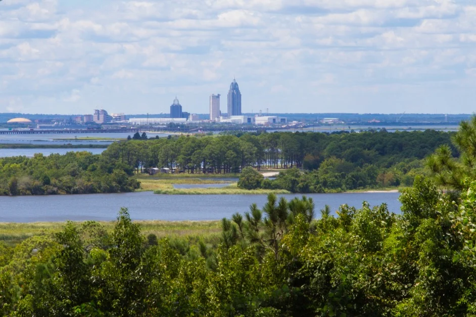 Groene moerasdelta met waterlopen en bomen op de voorgrond en de skyline van Mobile in Alabama aan de horizon