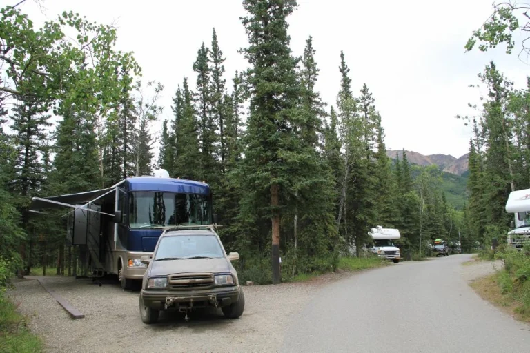 Een blauwe camper met terreinwagen ervoor geparkeerd op een grindpad tussen naaldbomen op een camping in Alaska, met bergen op de achtergrond
