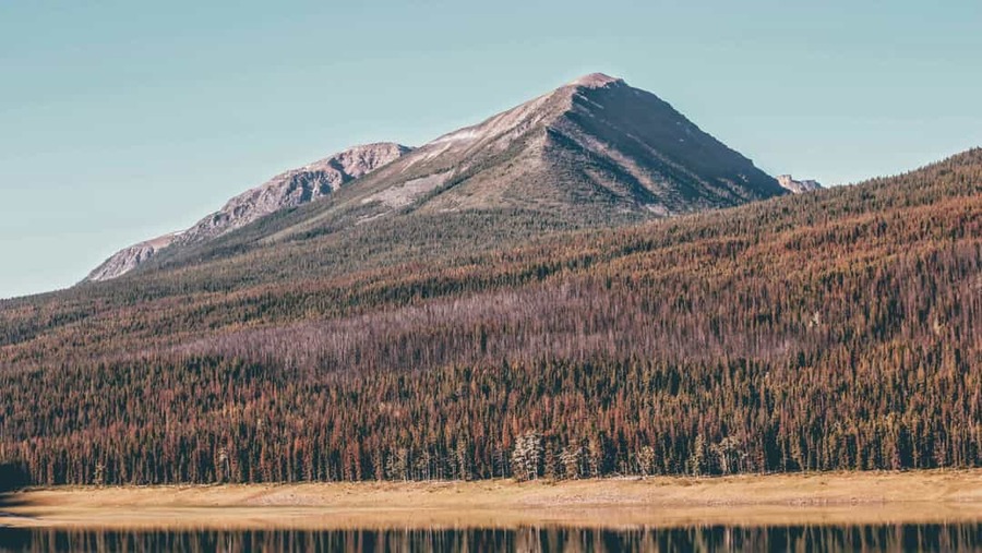 Kale rotsachtige bergtop rijst op boven een dicht naaldbos aan de oever van een rustig meer in Alberta
