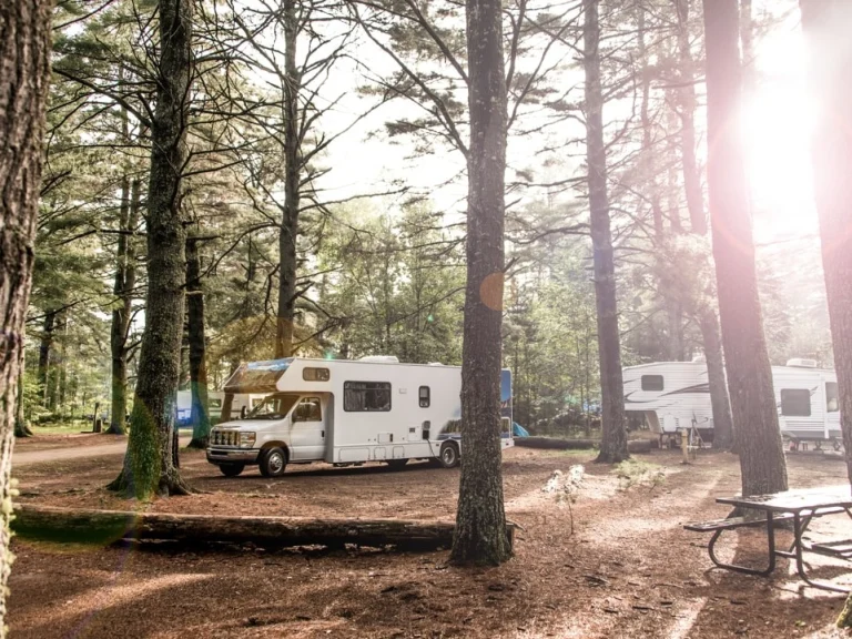 Een witte camper staat geparkeerd tussen hoge dennenbomen op een zonovergoten camping in Alberta, met een picknicktafel op de voorgrond