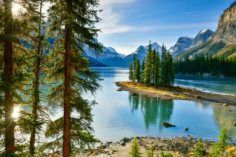 Een klein schiereiland met dennenbomen steekt uit in het turquoise water van Maligne Lake, omringd door besneeuwde bergtoppen in Alberta