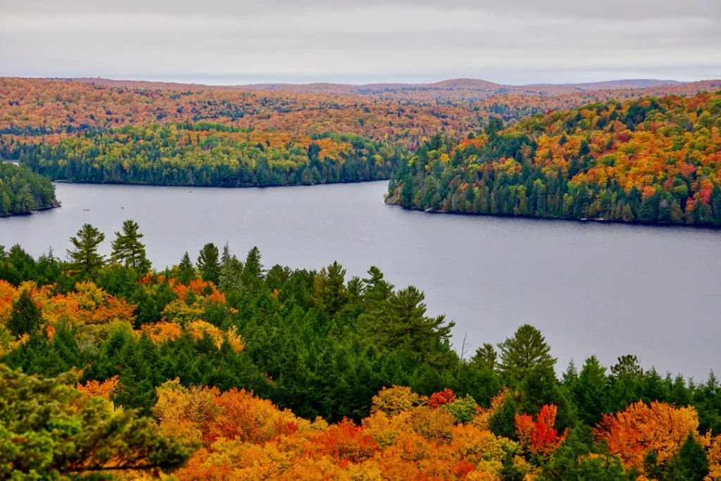 Verhoogd uitzicht over een langgerekt meer omringd door bos in felle herfstkleuren in Algonquin Provincial Park, Ontario