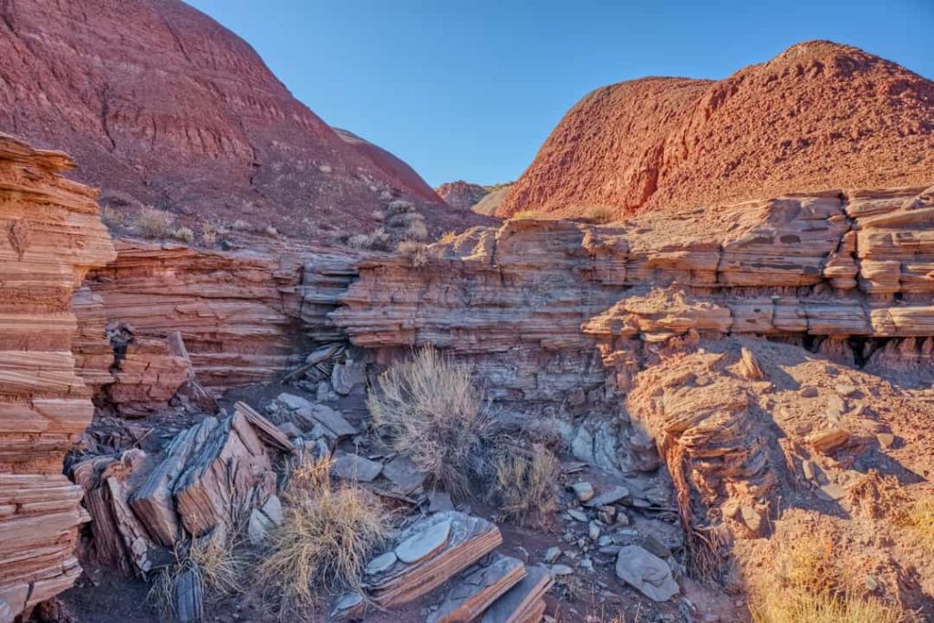 Gestreepte rood met paarse rotsheuvels met versteende houtresten op de bodem van Blue Mesa in Petrified Forest National Park
