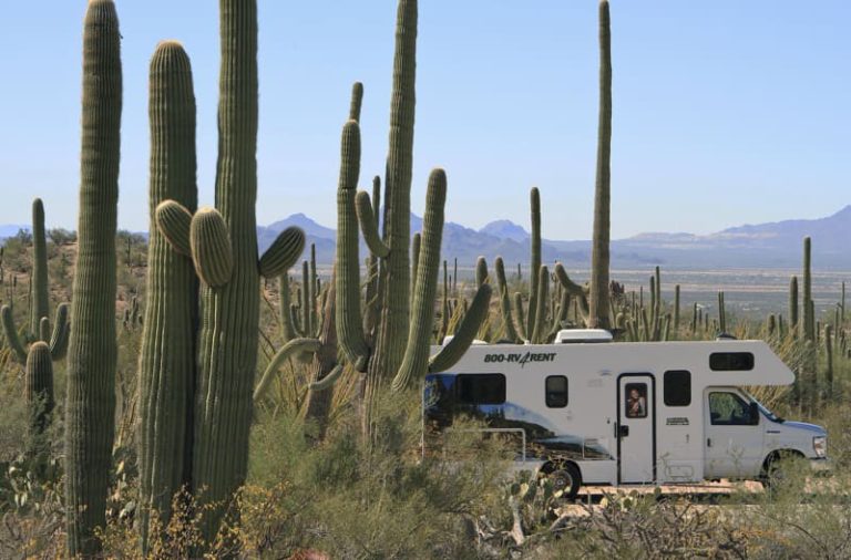 Een witte camper staat geparkeerd tussen hoge saguaro cactussen in de woestijn van Arizona met bergen op de achtergrond