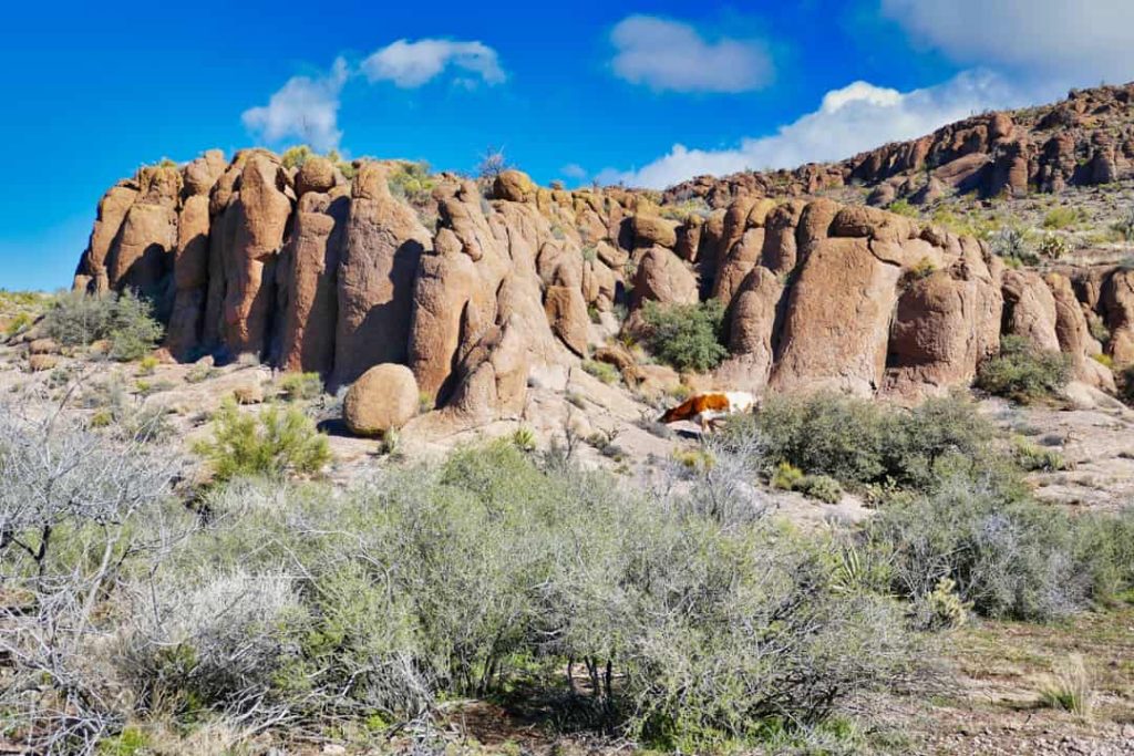 Hoge stapelingen van ronde granietblokken vormen grillige rotsformaties tussen laag woestijnstruikgewas onder een blauwe hemel in Arizona