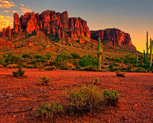 Ruige rode bergketen van de Superstition Mountains die oplicht bij zonsondergang met saguaro cactussen en struiken op de voorgrond