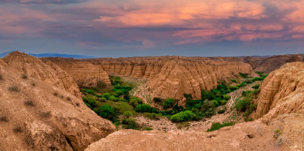 Diepe canyon met gelaagde zandstenen wanden en een weelderige groene vallei op de bodem, met een roze gekleurde lucht bij zonsondergang