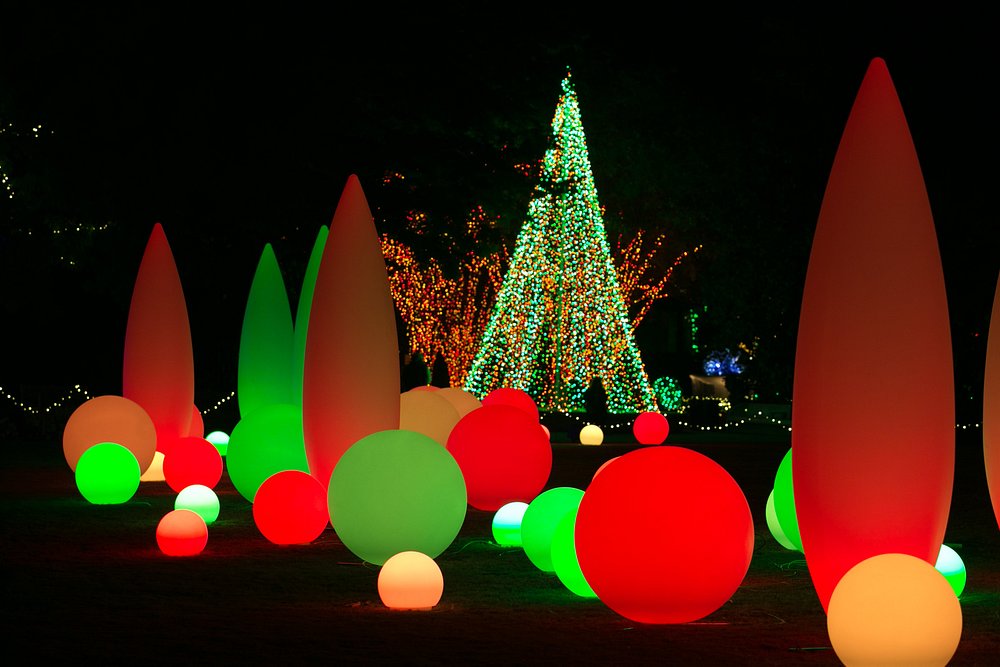 Gloeiende lichtbollen in rood, groen en geel vormen samen met een verlichte kerstboom een feestelijke avondtuin tijdens de kerstperiode