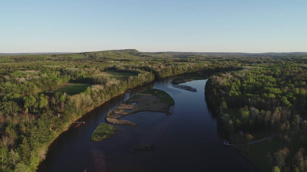 Kalme rivier meandert door dicht bos met een klein eilandje van struiken midden in het water