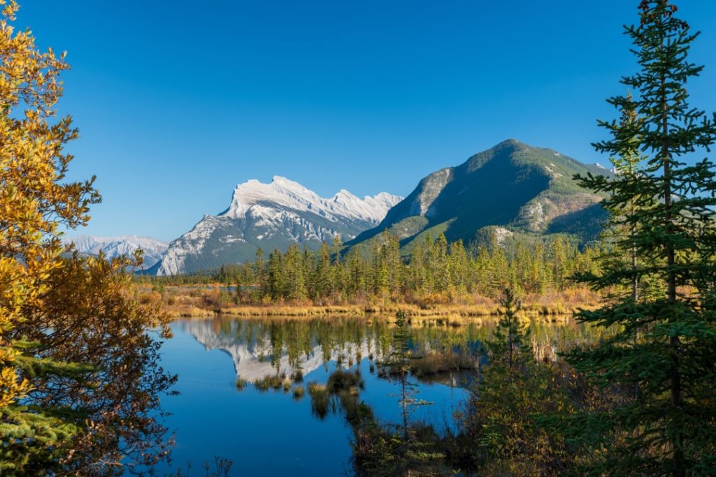 Herfstkleurige oever van de Vermilion Lakes spiegelt de besneeuwde top van Mount Rundle onder een strakblauwe lucht