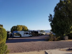 Verschillende campers staan geparkeerd op een grindterrein van een camping bij Barstow Calico met bomen en bergen op de achtergrond