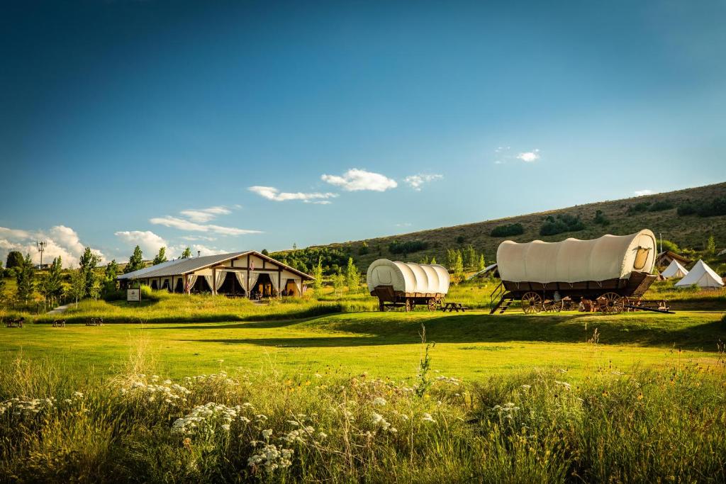 Glampingresort met witte huifkarren en een houten lodge op een groen grasveld tegen een glooiende heuvel