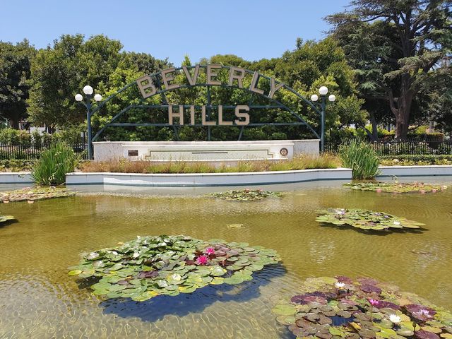 Het iconische Beverly Hills bord staat tussen groene struiken achter een vijver met bloeiende waterlelies