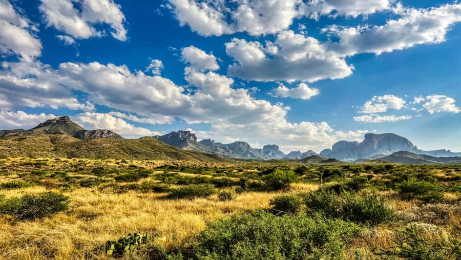 Droog woestijnlandschap met struiken en verre bergen onder een bewolkte lucht in Big Bend National Park in Texas