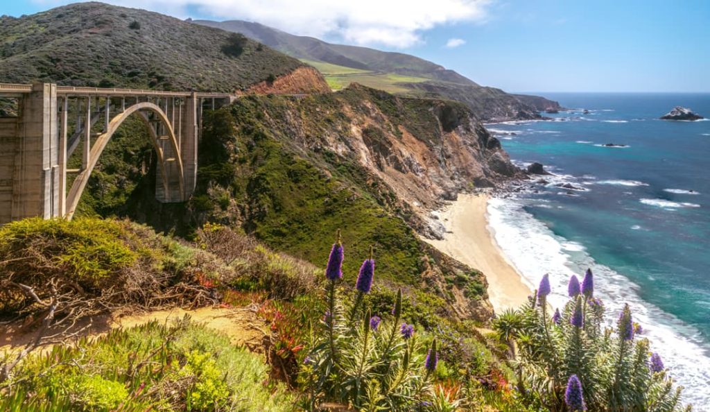 De beroemde boogbrug Bixby Bridge over een ravijn aan de kust van Big Sur, met paarse bloeiende planten op de voorgrond en een zandstrand beneden