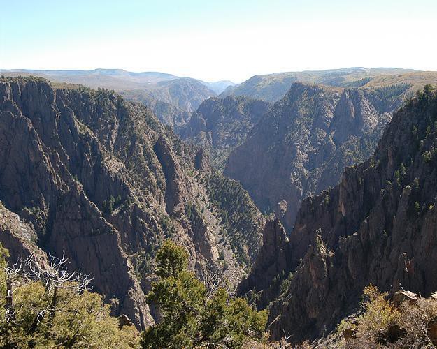 Ruige rotspieken en dennenbomen langs de rand van de Black Canyon of the Gunnison in Colorado onder een heldere hemel