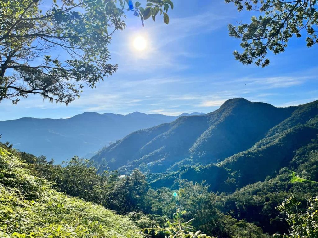 De zon schijnt fel boven glooiende beboste bergketens gezien vanaf een groene heuvel in de Blue Mountains van Jamaica
