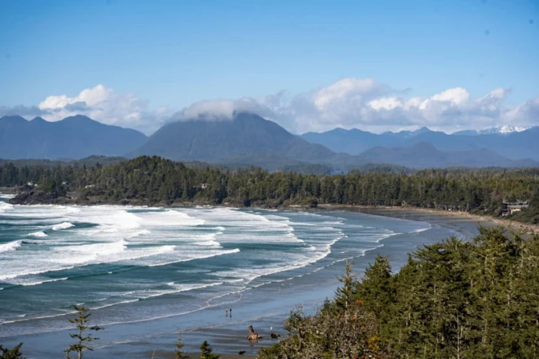 Uitzicht over een golvende kustlijn in British Columbia met dennenbos, een zandstrand en besneeuwde bergen op de achtergrond