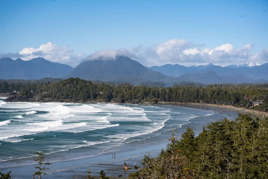 Uitzicht over een golvende kustlijn in British Columbia met dennenbos, een zandstrand en besneeuwde bergen op de achtergrond