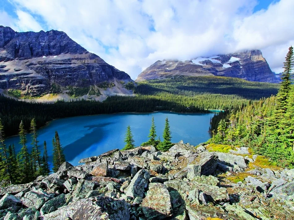 Uitzicht vanaf een rotsachtige heuvel over een helderblauw bergmeer omringd door dennenbossen en besneeuwde bergtoppen in British Columbia