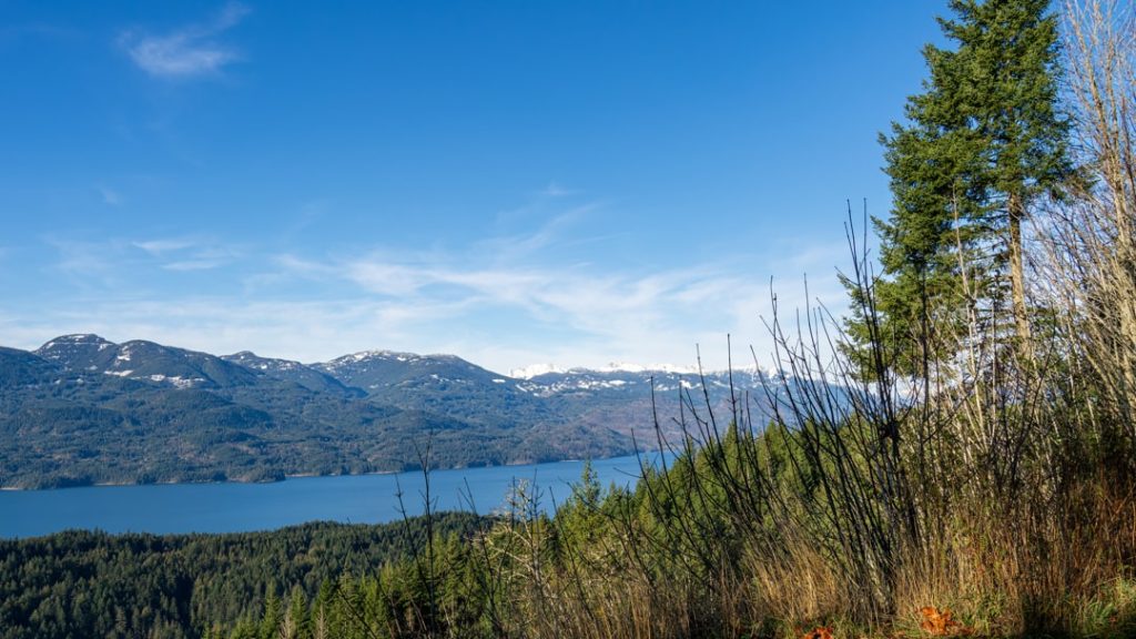 Uitzicht vanaf een beboste heuvel over een blauw meer met besneeuwde bergtoppen in de verte