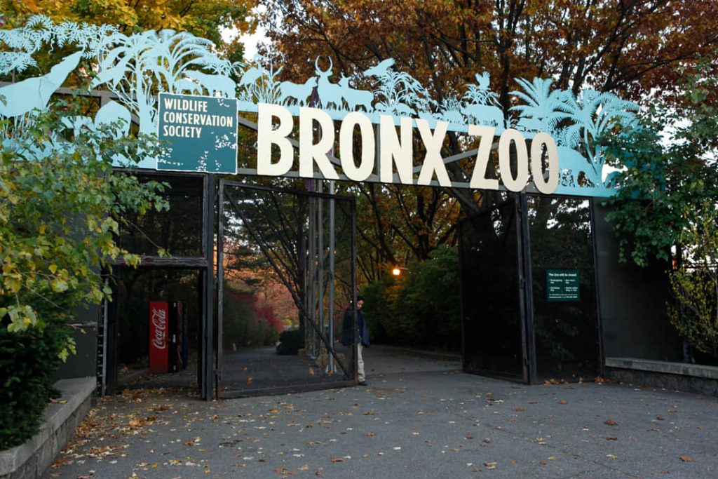 Grote metalen toegangspoort met de tekst Bronx Zoo en silhouetten van dieren tussen herfstbomen