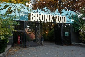 Grote metalen toegangspoort met de tekst Bronx Zoo en silhouetten van dieren tussen herfstbomen