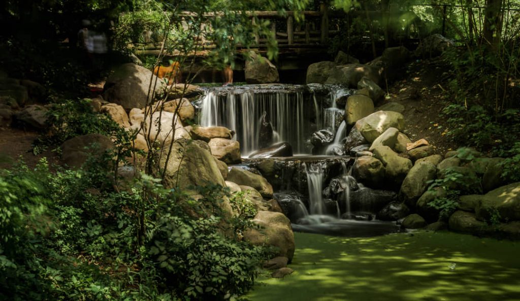 Kleine waterval die over rotsblokken stroomt in een groen aangelegde tuin met een houten bruggetje in de Brooklyn Botanic Garden