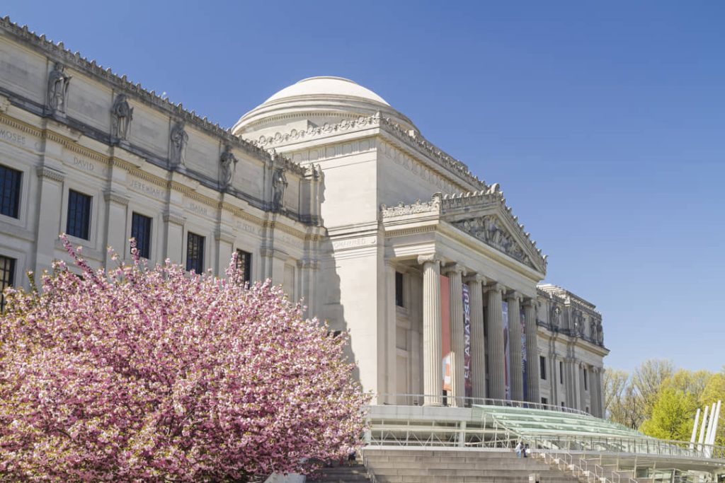 Klassiek zuilenfront van het Brooklyn Museum met een grote roze bloesemboom op de voorgrond onder een strakblauwe hemel