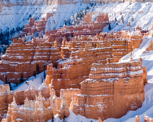 Oranje rotspinakels bedekt met een laag sneeuw staan dicht op elkaar in Bryce Canyon National Park