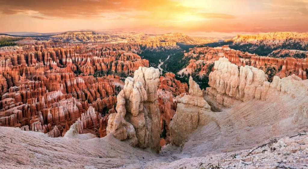 Duizenden puntige hoodoos in het amfitheater van Bryce Canyon National Park kleuren goud in het licht van de opkomende zon