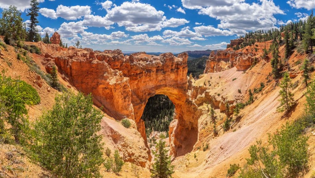 Een grote oranje rotsboog genaamd Natural Bridge overspant een met dennen begroeide vallei in Bryce Canyon National Park, Utah