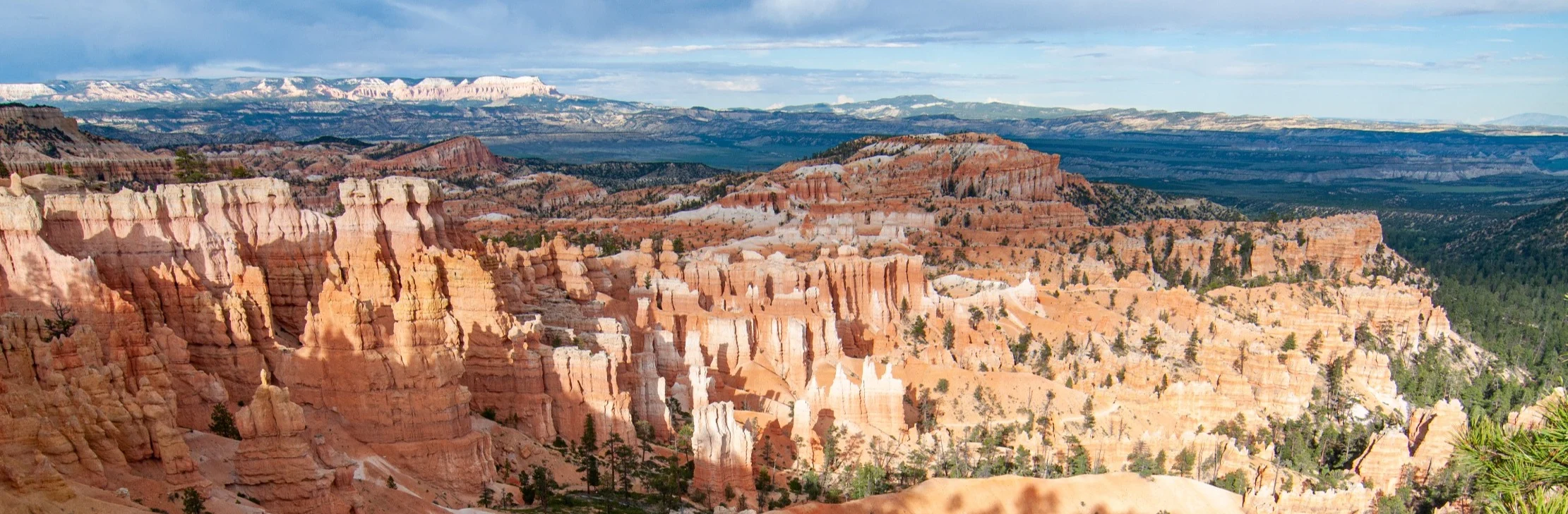 Rossige rotstorens en hoodoos strekken zich uit boven een bebost dal, met heuvels aan de horizon