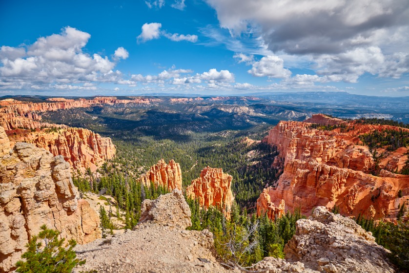 Talloze oranje en witte rotstorens steken boven een groen dennenbos uit, met heuvels tot aan de horizon in Bryce Canyon
