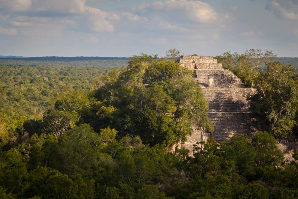 Een stenen Maya piramide steekt uit boven het uitgestrekte groene regenwoud van Calakmul onder een lichtbewolkte lucht