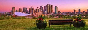 Bankje met bloembakken op een heuvel in een park, met de skyline van Calgary bij een roze zonsondergang op de achtergrond