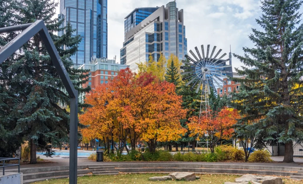 Metalen windmolensculptuur tussen herfstbomen in een stadspark, met wolkenkrabbers van Calgary op de achtergrond